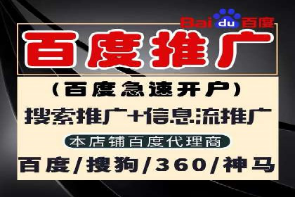 某某sem代运营公司成功案例：提高转化率